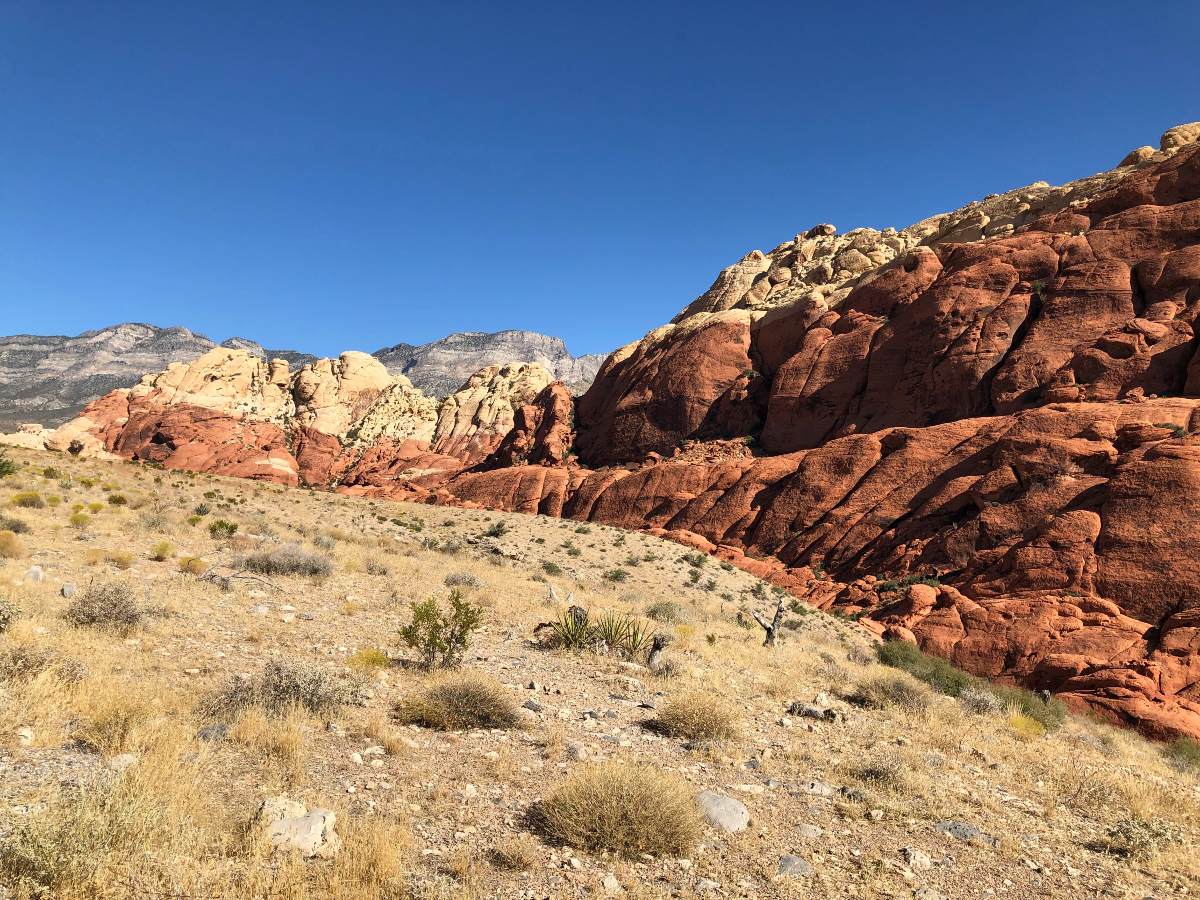 Panoramic view along the 13-mile Scenic Drive at Red Rock Canyon